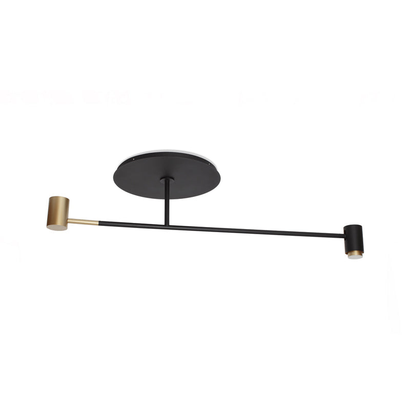 Melanocetus PL | Ceiling Light | Black Lacquered | Plexiglass