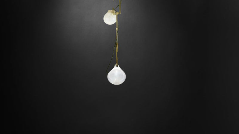 Nepenthes | Ceiling Lamp