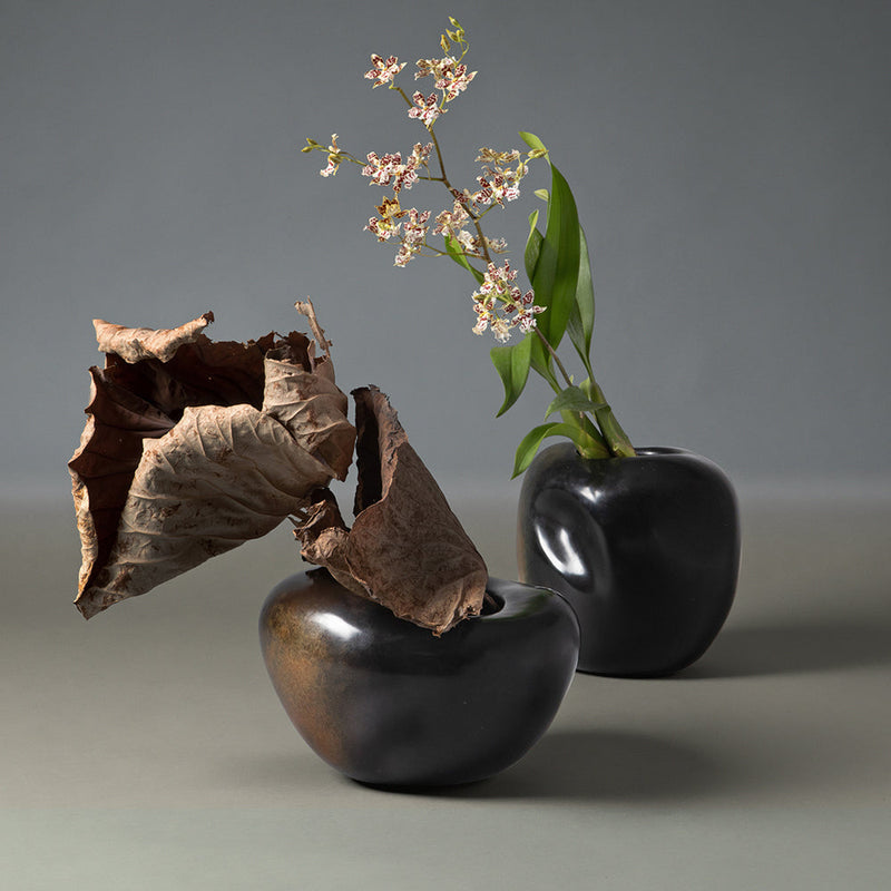 Anemone | Vases