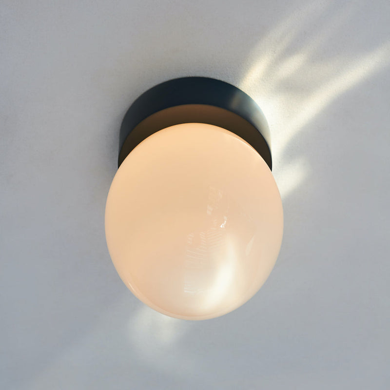 The Philosophical Egg Short | Ceiling Rose | Light